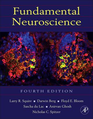 Cover image: Fundamental Neuroscience 4th edition 9780123858702