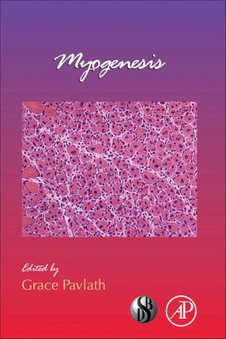 Immagine di copertina: Myogenesis 9780123859402