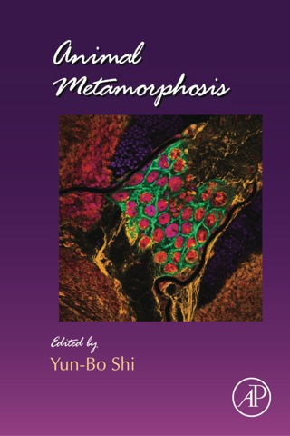 Cover image: Animal Metamorphosis 9780123859792
