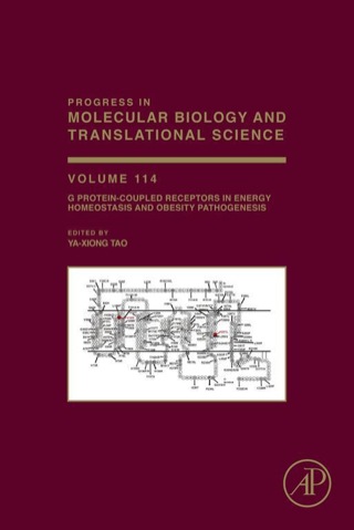 Omslagafbeelding: Practical Process Research and Development – A guide for Organic Chemists 2nd edition 9780123865373
