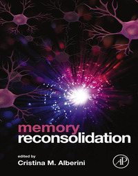 Immagine di copertina: Memory Reconsolidation 9780123868923