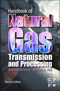 صورة الغلاف: Handbook of Natural Gas Transmission and Processing 2nd edition 9780123869142