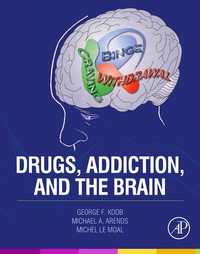 Omslagafbeelding: Drugs, Addiction, and the Brain 9780123869371