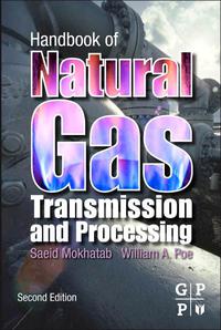 Omslagafbeelding: Handbook of Natural Gas Transmission and Processing 2nd edition 9780123869142