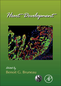 Immagine di copertina: Heart Development 9780123877864