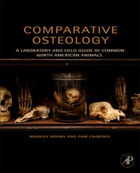 Immagine di copertina: Comparative Osteology 9780123884374
