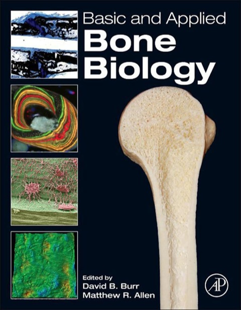 Basic and Applied Bone Biology - FULL INSTANT DOWNLOAD | PDF DOCX EPUB