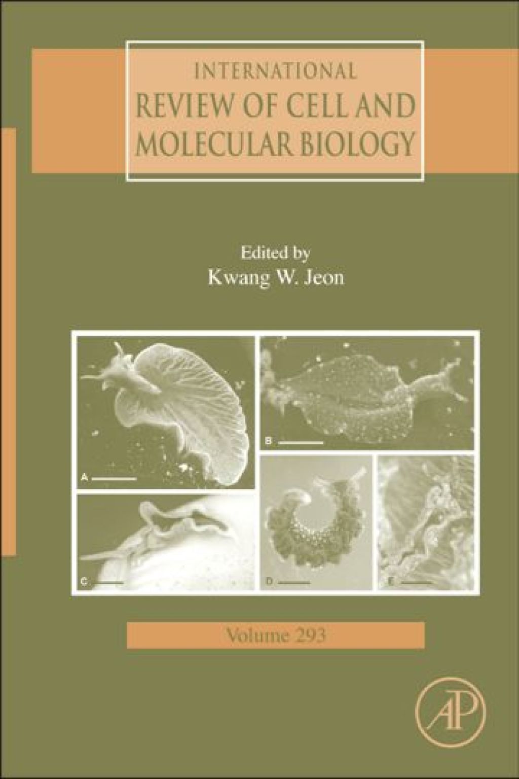 International Review Of Cell and Molecular Biology