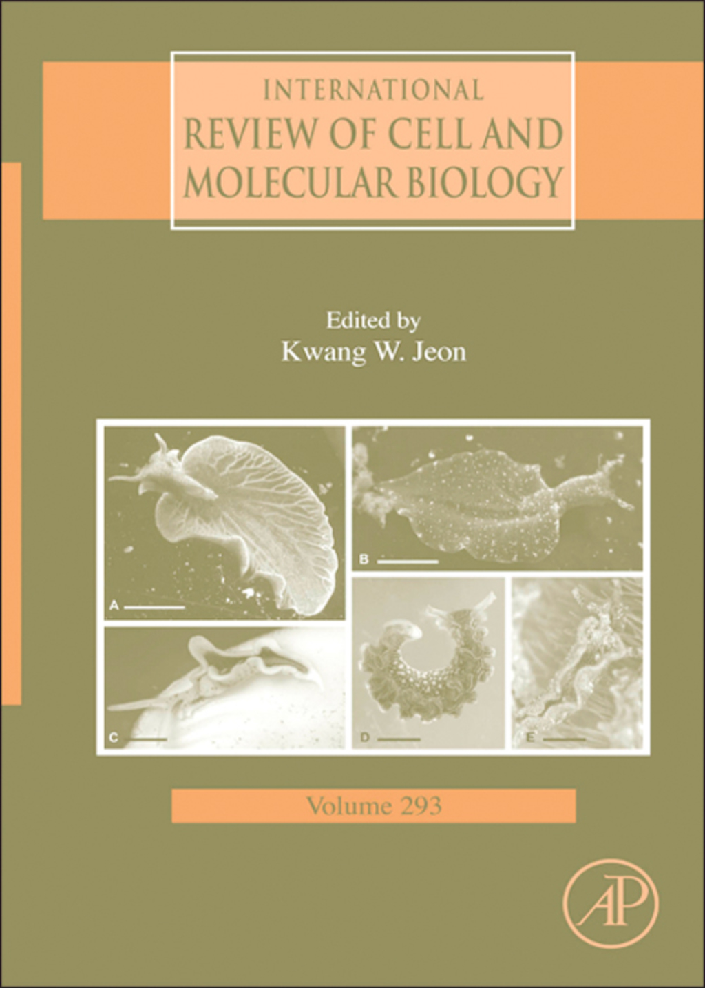 International Review of Cell and Molecular Biology