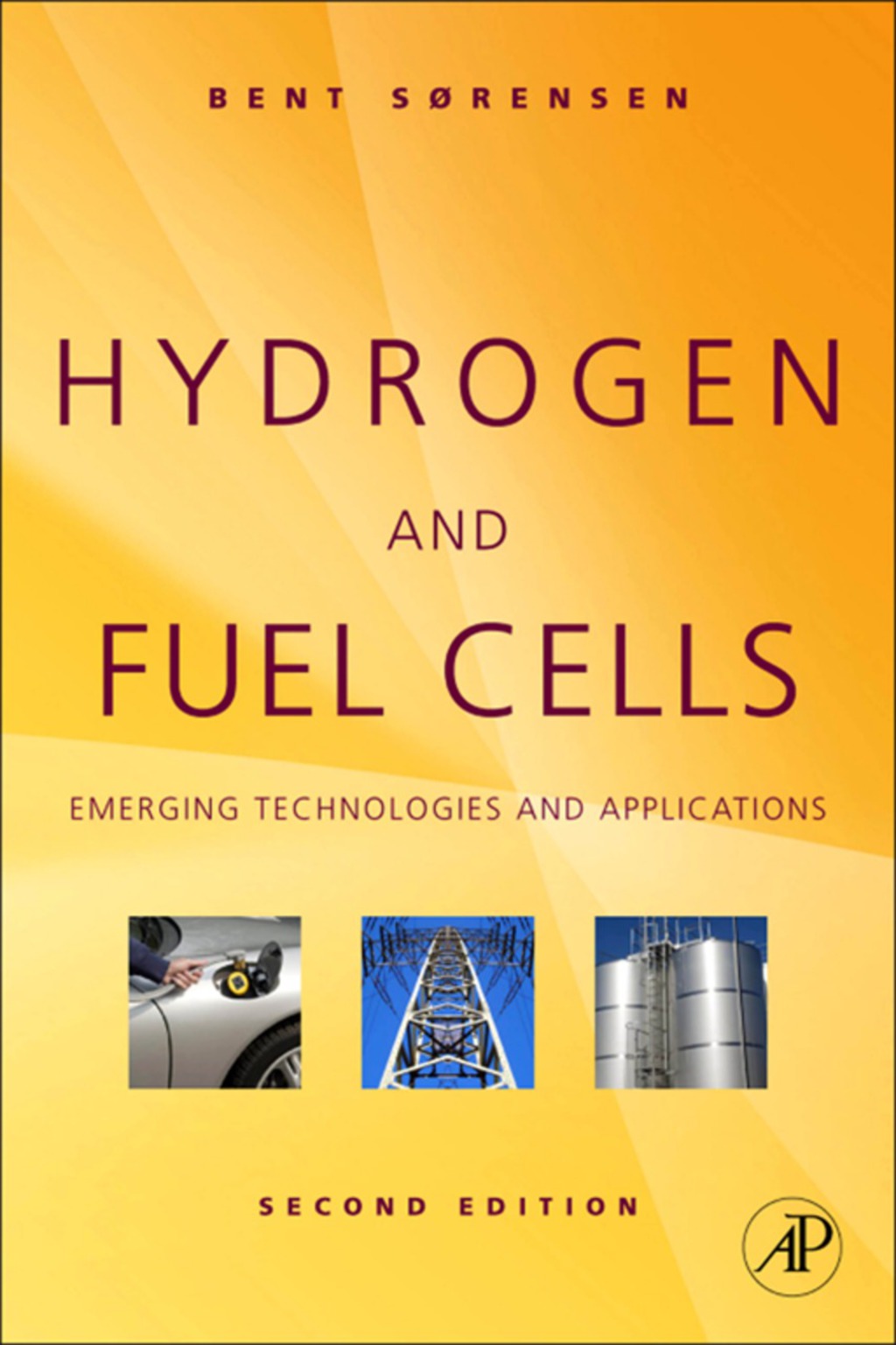 Hydrogen and Fuel Cells 2nd Edition
    Newer Edition Available