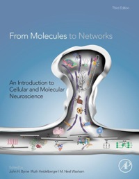 Titelbild: From Molecules to Networks: An Introduction to Cellular and Molecular Neuroscience 3rd edition 9780123971791