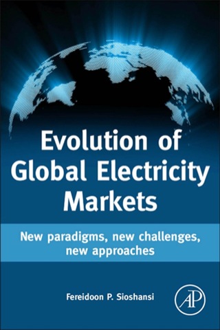 Imagen de portada: Evolution of Global Electricity Markets: New paradigms, new challenges, new approaches 1st edition 9780123978912