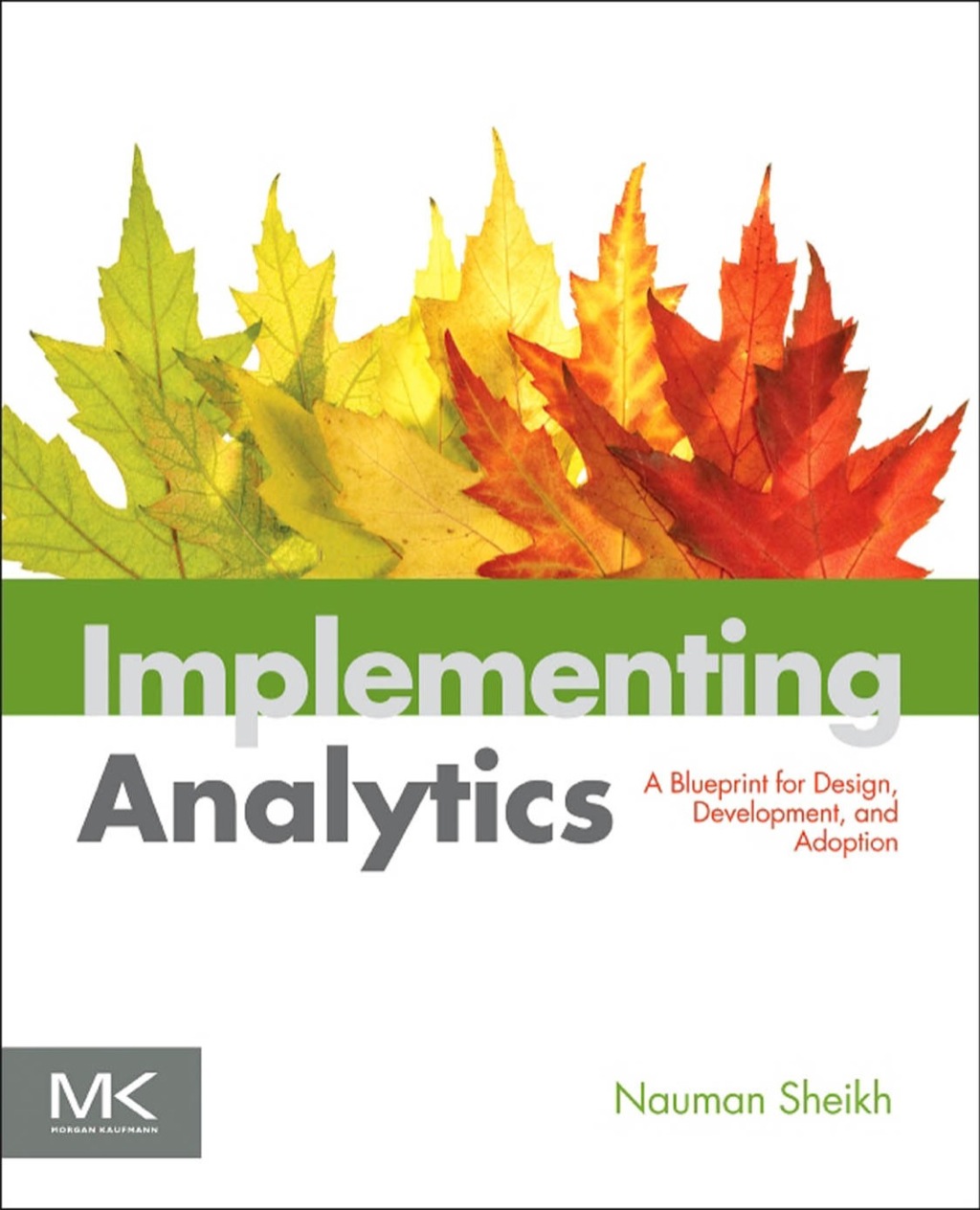Implementing Analytics: A Blueprint for Design, Development, and Adoption 1st Edition