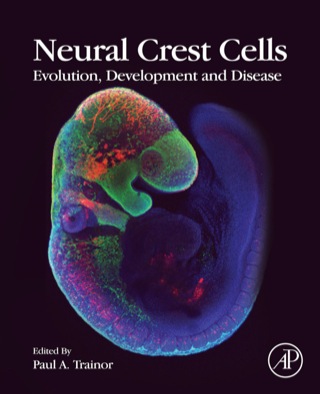 Immagine di copertina: Neural Crest Cells: Evolution, Development and Disease 9780124017306