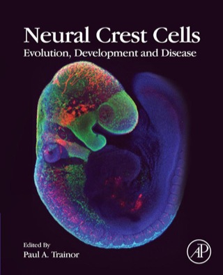 Immagine di copertina: Neural Crest Cells: Evolution, Development and Disease 9780124017306