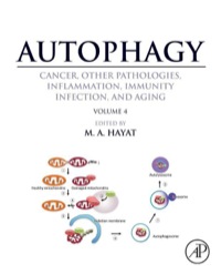 Immagine di copertina: Autophagy: Cancer, Other Pathologies, Inflammation, Immunity, Infection, and Aging: Volume 4 - Mitophagy 9780124055285