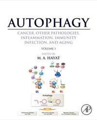 صورة الغلاف: Autophagy: Cancer, Other Pathologies, Inflammation, Immunity, Infection, and Aging: Volume 1 - Molecular Mechanisms 1st edition 9780124055308