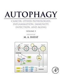 Immagine di copertina: Autophagy: Cancer, Other Pathologies, Inflammation, Immunity, Infection, and Aging: Volume 3 - Mitophagy 9780124055292