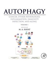 Omslagafbeelding: Autophagy: Cancer, Other Pathologies, Inflammation, Immunity, Infection, and Aging: Volume 1 - Molecular Mechanisms 1st edition 9780124055308