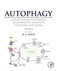 Immagine di copertina: Autophagy: Cancer, Other Pathologies, Inflammation, Immunity, Infection, and Aging: Volume 2 - Role in General Diseases 9780124058774