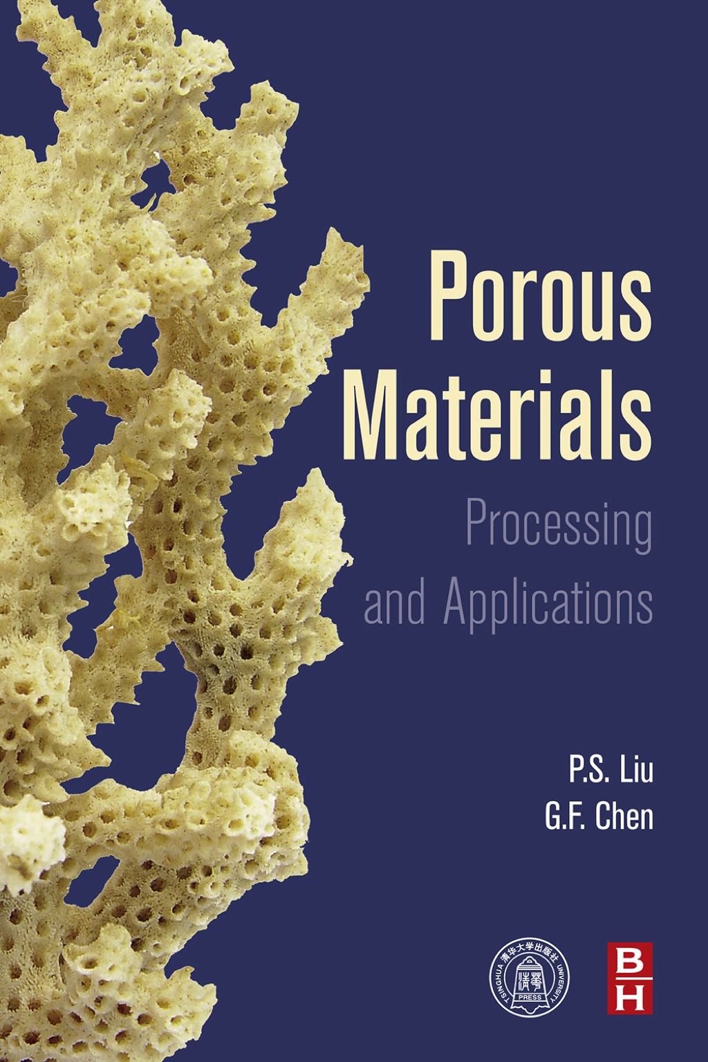 Porous Materials: Processing and Applications