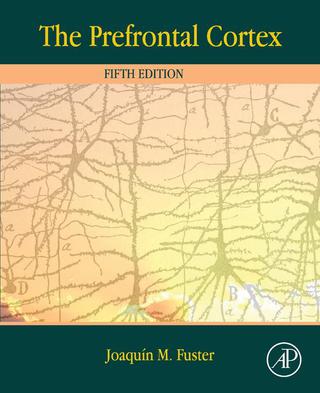Imagen de portada: The Prefrontal Cortex 5th edition 9780124078154