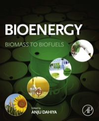 表紙画像: Bioenergy: Biomass to Biofuels 9780124079090