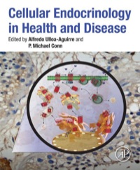 Immagine di copertina: Cellular Endocrinology in Health and Disease 9780124081345