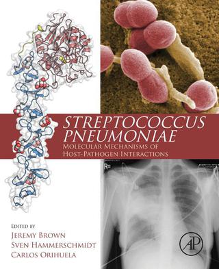 Imagen de portada: Streptococcus Pneumoniae: Molecular Mechanisms of Host-Pathogen Interactions 9780124105300