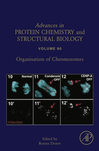 صورة الغلاف: Organisation of Chromosomes 9780124105232