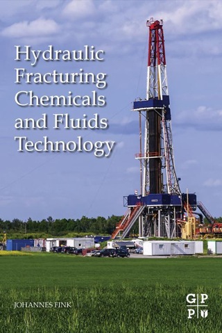 Immagine di copertina: Hydraulic Fracturing Chemicals and Fluids Technology 9780124114913