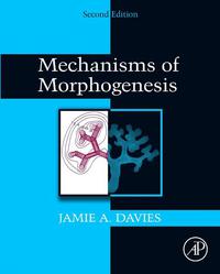 Immagine di copertina: Mechanisms of Morphogenesis 2nd edition 9780123910622