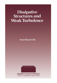 表紙画像: Dissipative Structure & Weak Turbulence 9780124692602