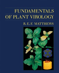 Imagen de portada: Fundamentals of Plant Virology 9780124805583