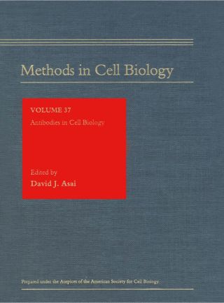 Cover image: Antibodies in Cell Biology 9780125641371
