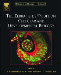 Cover image: The Zebrafish: Cellular and Developmental Biology: Cellular and Developmental Biology 2nd edition 9780125641715