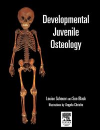 Omslagafbeelding: Developmental Juvenile Osteology 9780126240009