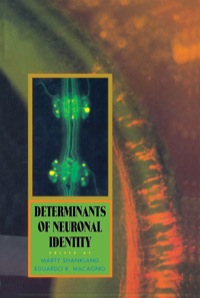 Titelbild: Determinants of Neuronal Identity 9780126382808