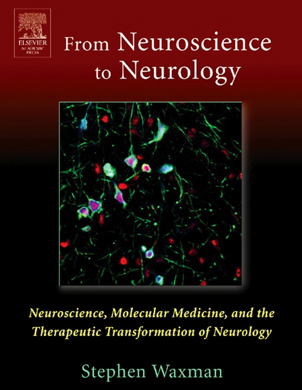 From NEUROSCIENCE To NEUROLOGY: Neuroscience, Molecular Medicine, and the Therapeutic Transformation of Neurology