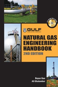Cover image: Natural Gas Engineering Handbook 2nd edition 9781933762418