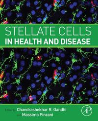 Titelbild: Stellate Cells in Health and Disease 9780128001349