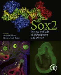 Imagen de portada: Sox2: Biology and Role in Development and Disease 9780128003527