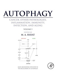 صورة الغلاف: Autophagy: Cancer, Other Pathologies, Inflammation, Immunity, Infection, and Aging: Volume 5 - Role in Human Diseases 9780128010334