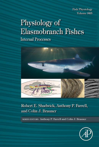 Omslagafbeelding: Physiology of Elasmobranch Fishes: Internal Processes: Fish Physiology 9780128012864