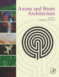 Omslagafbeelding: Axons and Brain Architecture 9780128013939