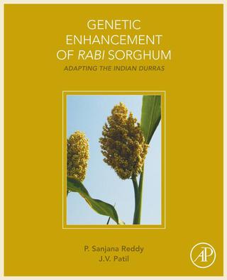 Omslagafbeelding: Genetic Enhancement of Rabi Sorghum: Adapting the Indian Durras 9780128019269