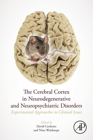 Cover image: The Cerebral Cortex in Neurodegenerative and Neuropsychiatric Disorders 9780128019429