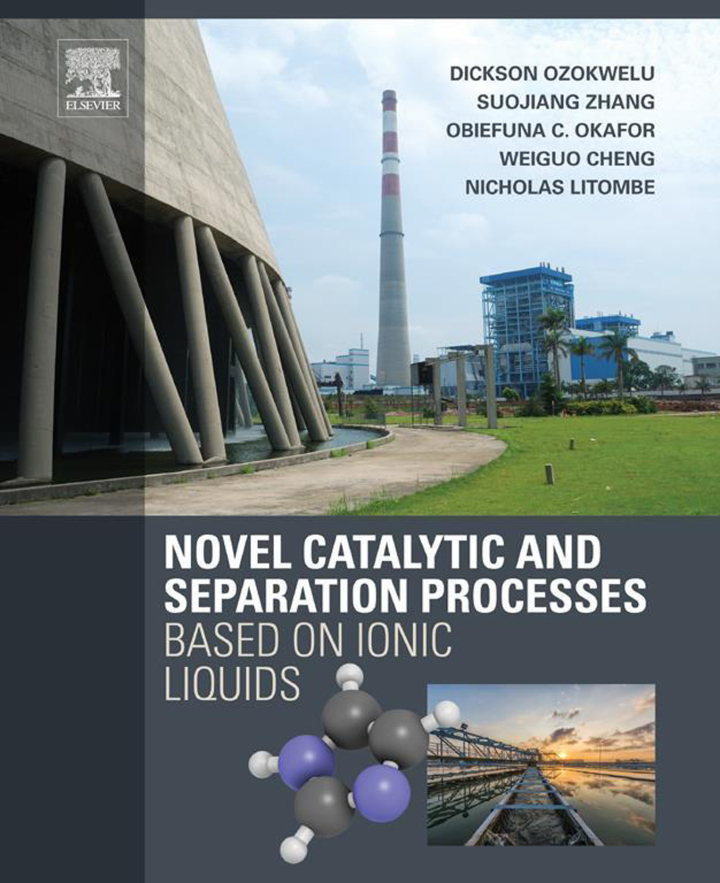 Cover image: Novel Catalytic and Separation Processes Based on Ionic Liquids