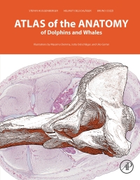 Omslagafbeelding: Atlas of the Anatomy of Dolphins and Whales 9780128024461