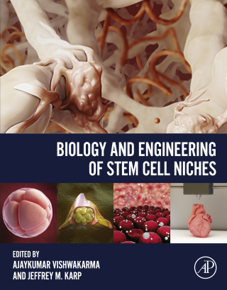 Immagine di copertina: Biology and Engineering of Stem Cell Niches 9780128027349